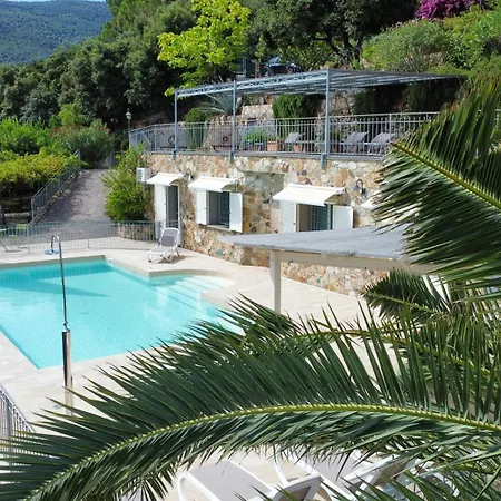 Borgo Dell'uccellaia - Ambra